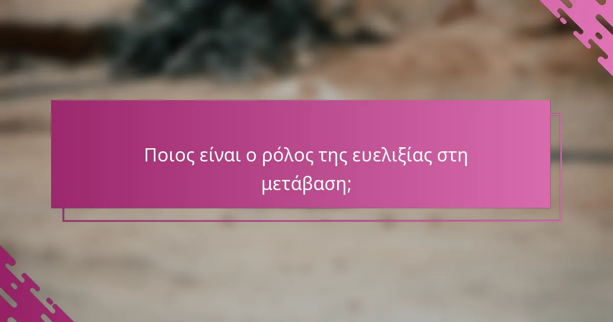 Ποιος είναι ο ρόλος της ευελιξίας στη μετάβαση;